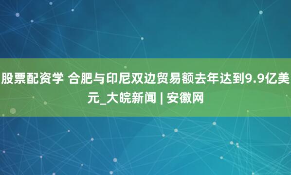股票配资学 合肥与印尼双边贸易额去年达到9.9亿美元_大皖新闻 | 安徽网