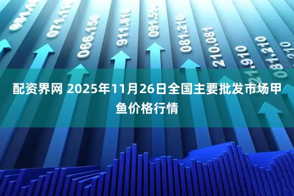 配资界网 2025年11月26日全国主要批发市场甲鱼价格行情